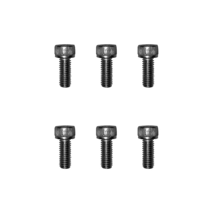 Vis gardes boue Dualtron X4pcs