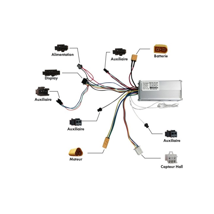 Controleur 52V arrière pour Z10X