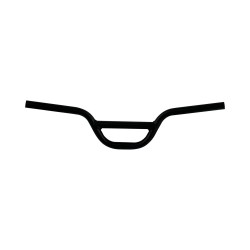 Guidon Dualtron Mini