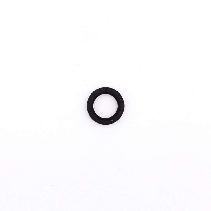 Joint Spi moteur grand Dualtron X10pcs