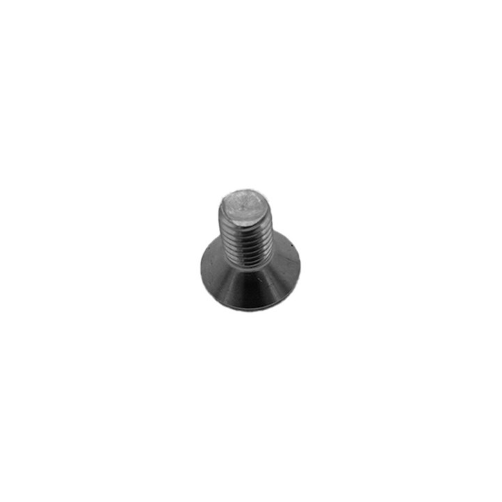 Vis Folding Dualtron Inox X10Pcs