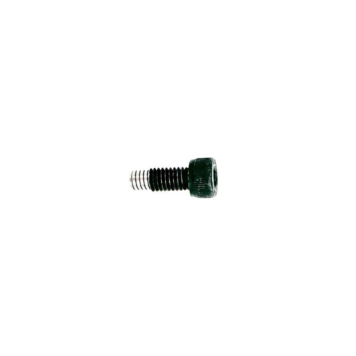 vis direction dualtron Mini Dual Moteur