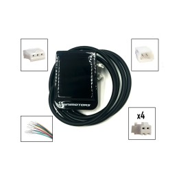Display Ey 2 Dualtron Pop/Popular