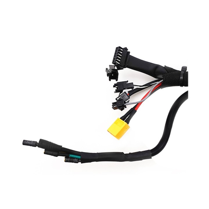 Controleur 48V 25A Dualtron Togo