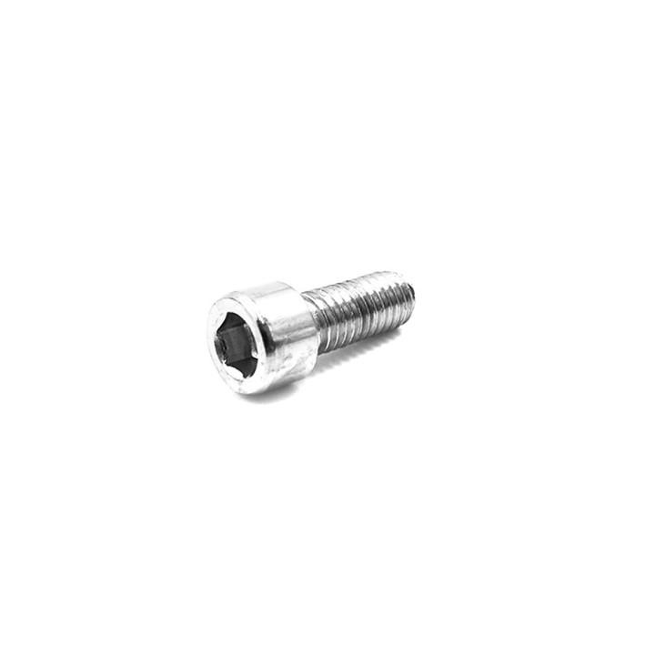 Vis gardes boue Dualtron x100 pcs