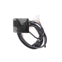 Display Ey 2 Dualtron Togo Limited 60V