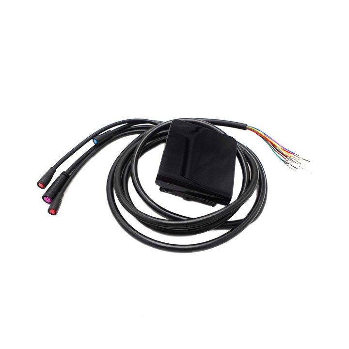 Display Dualtron Togo 36V 48V