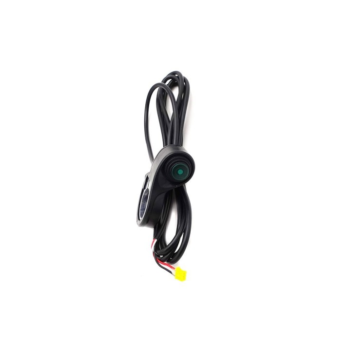 Interrupteur turbo Dualtron Alien